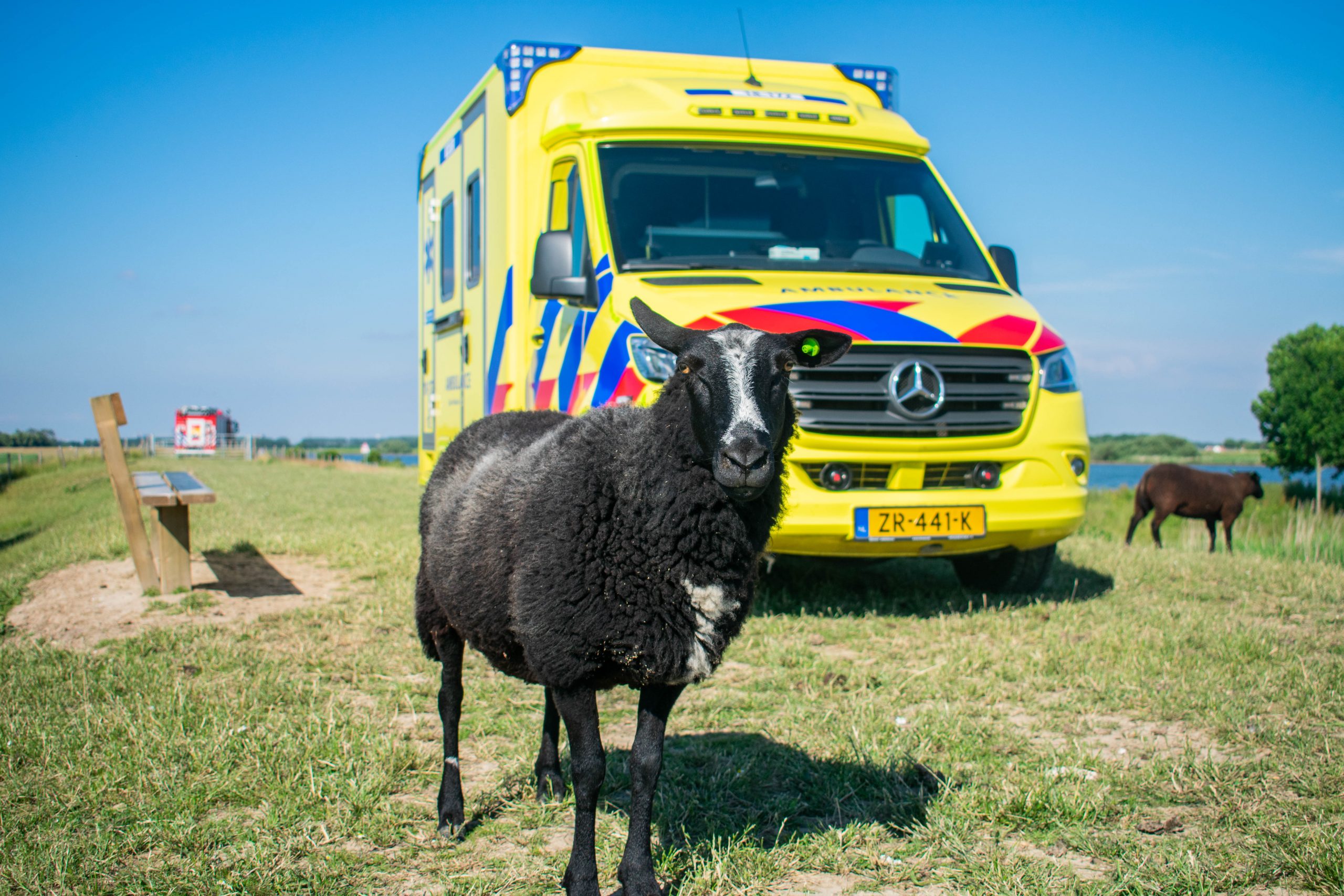 @RDVoornePutten. Hier staat het verhaal toch heel anders...